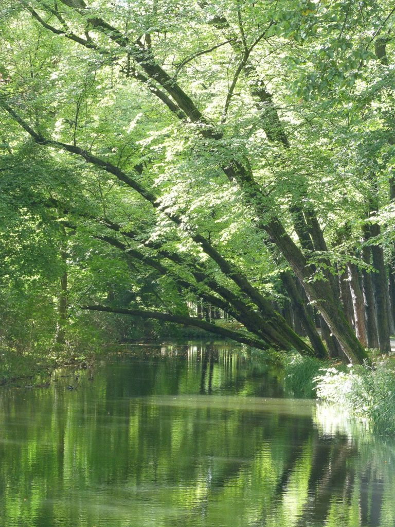 001.webp