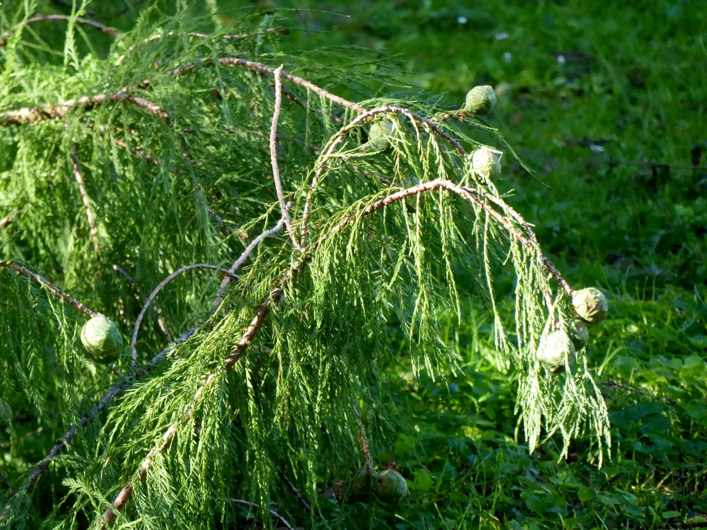 002.webp
