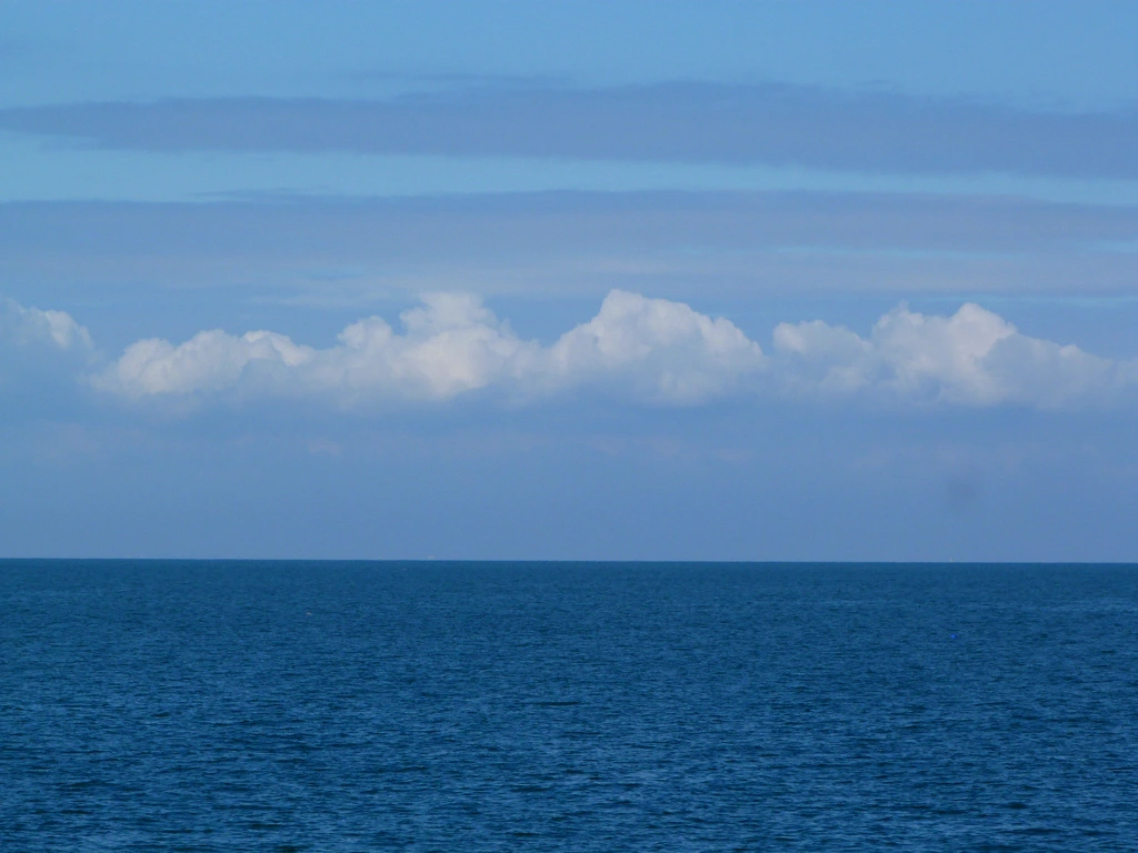 002.webp