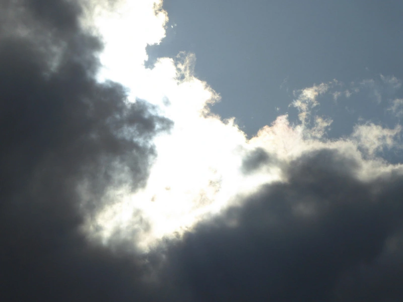 002.webp
