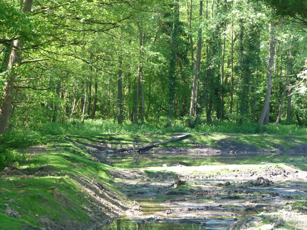 002.webp