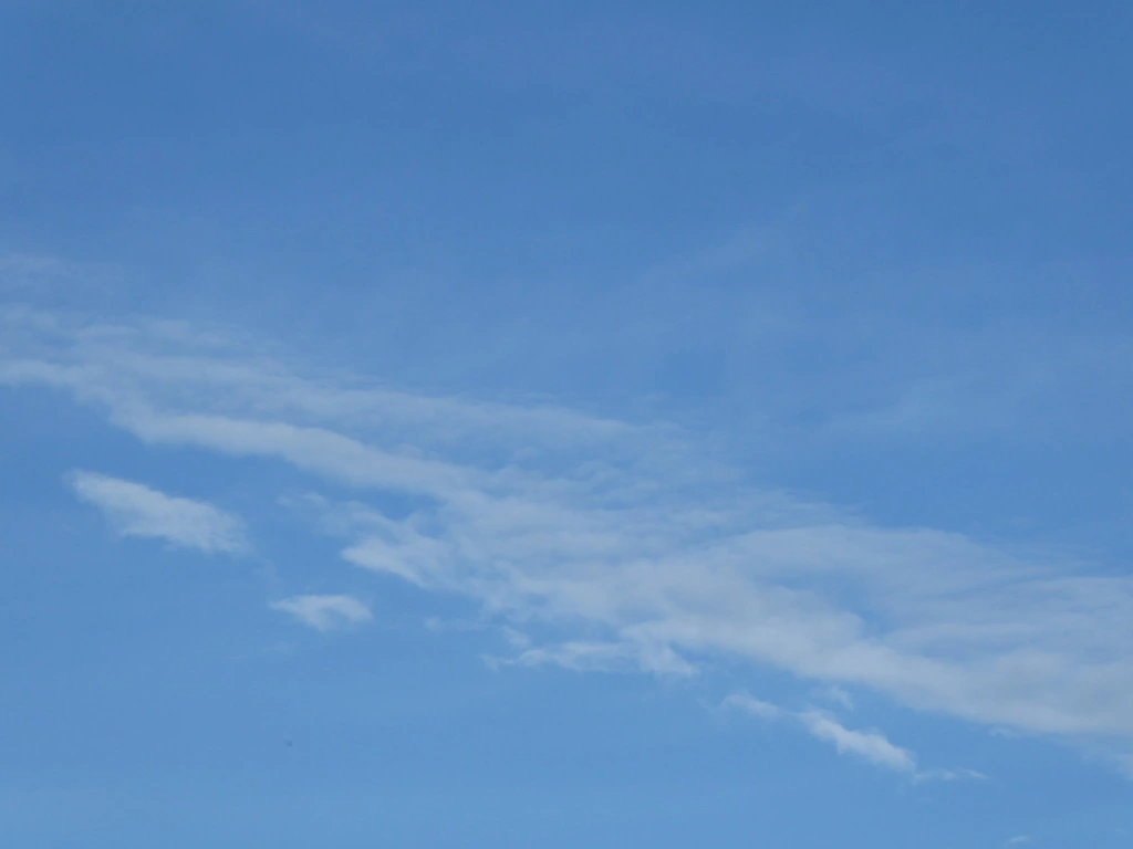 002.webp