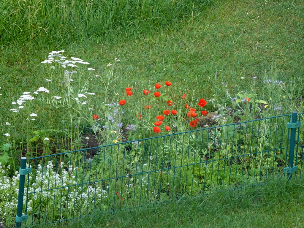 003.webp
