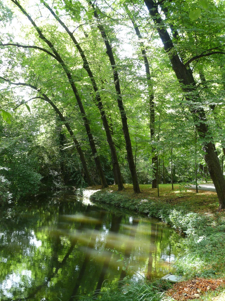 004.webp