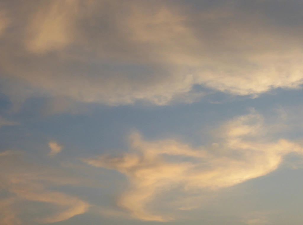 008.webp