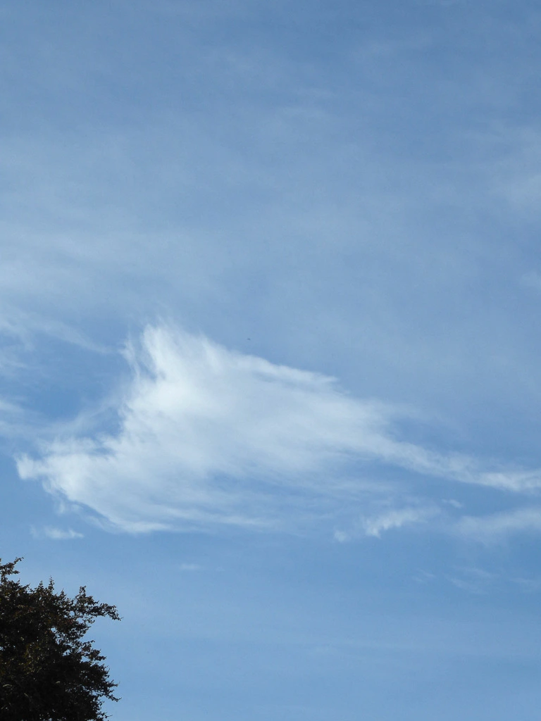 010.webp