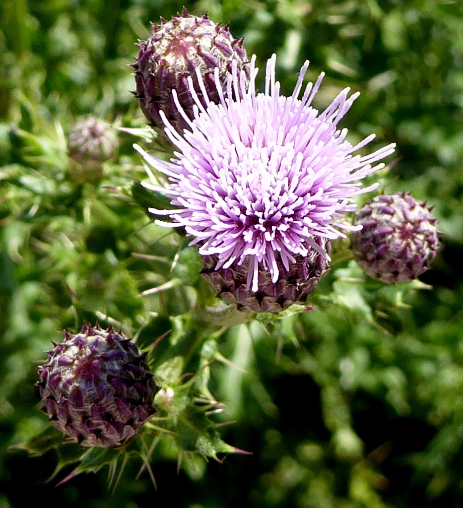 011.webp