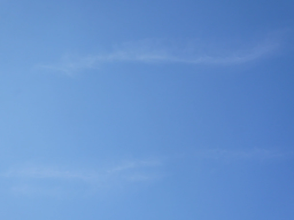 012.webp