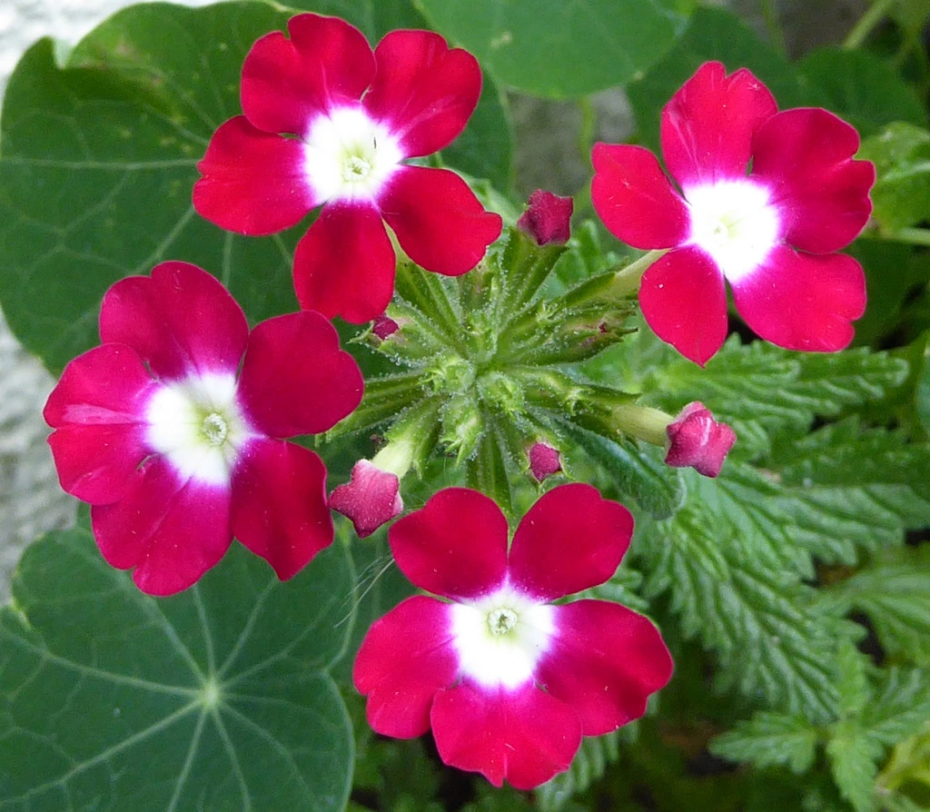 012.webp