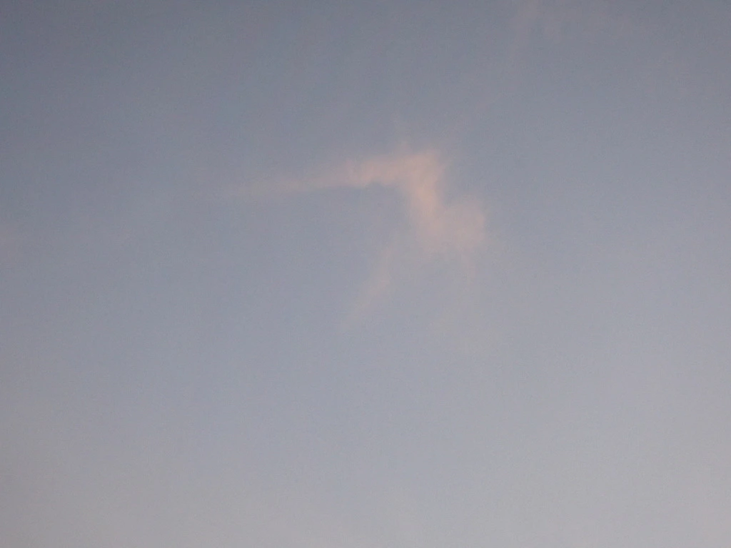 013.webp