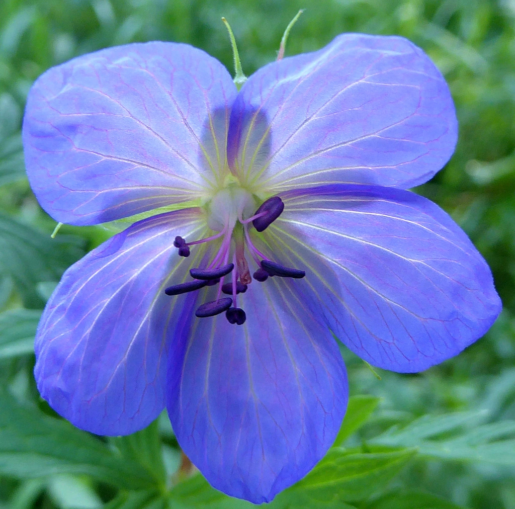 019.webp