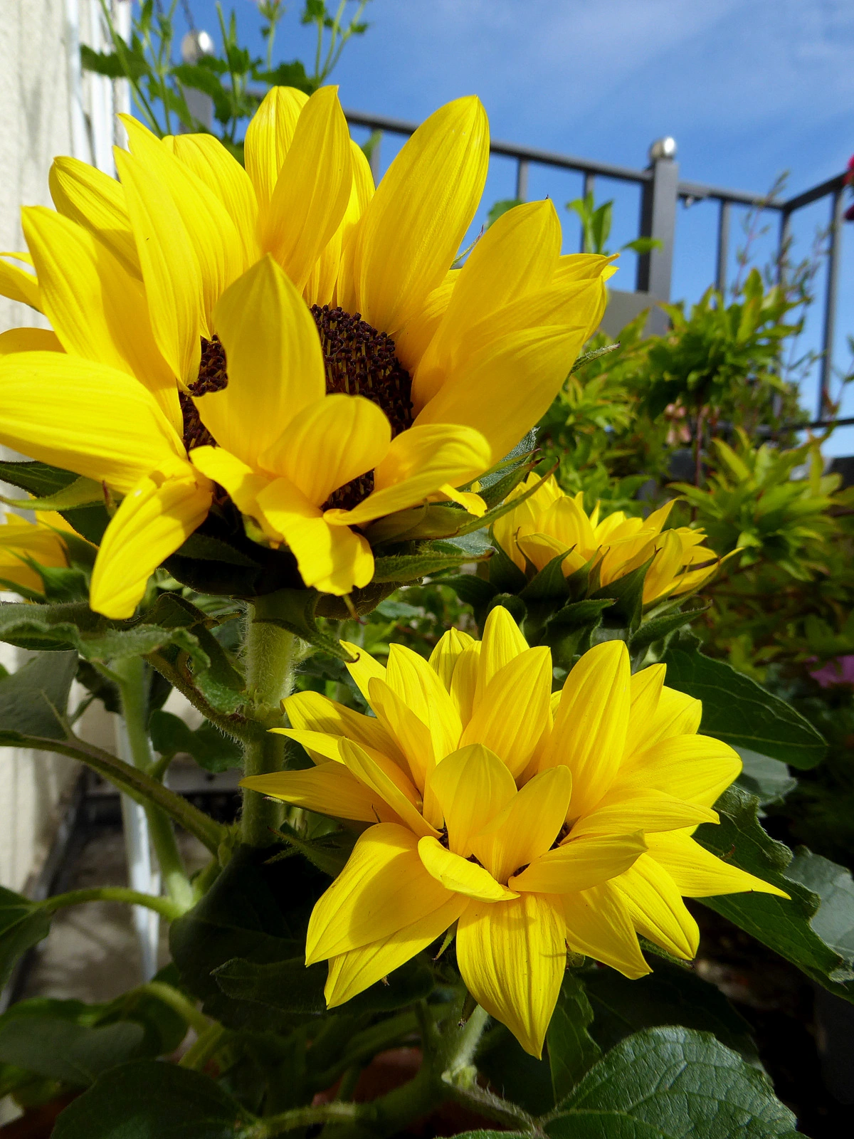 021.webp
