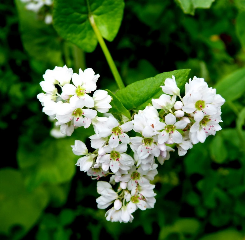 023.webp