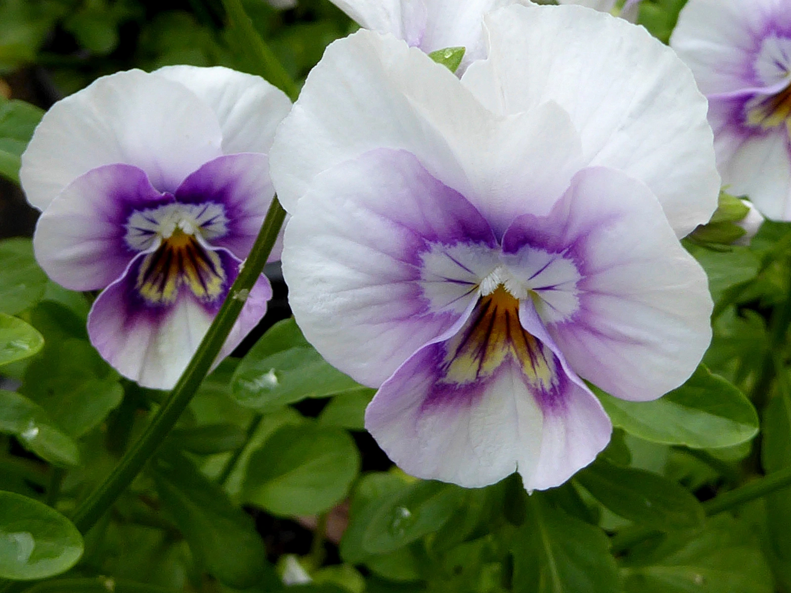 024.webp
