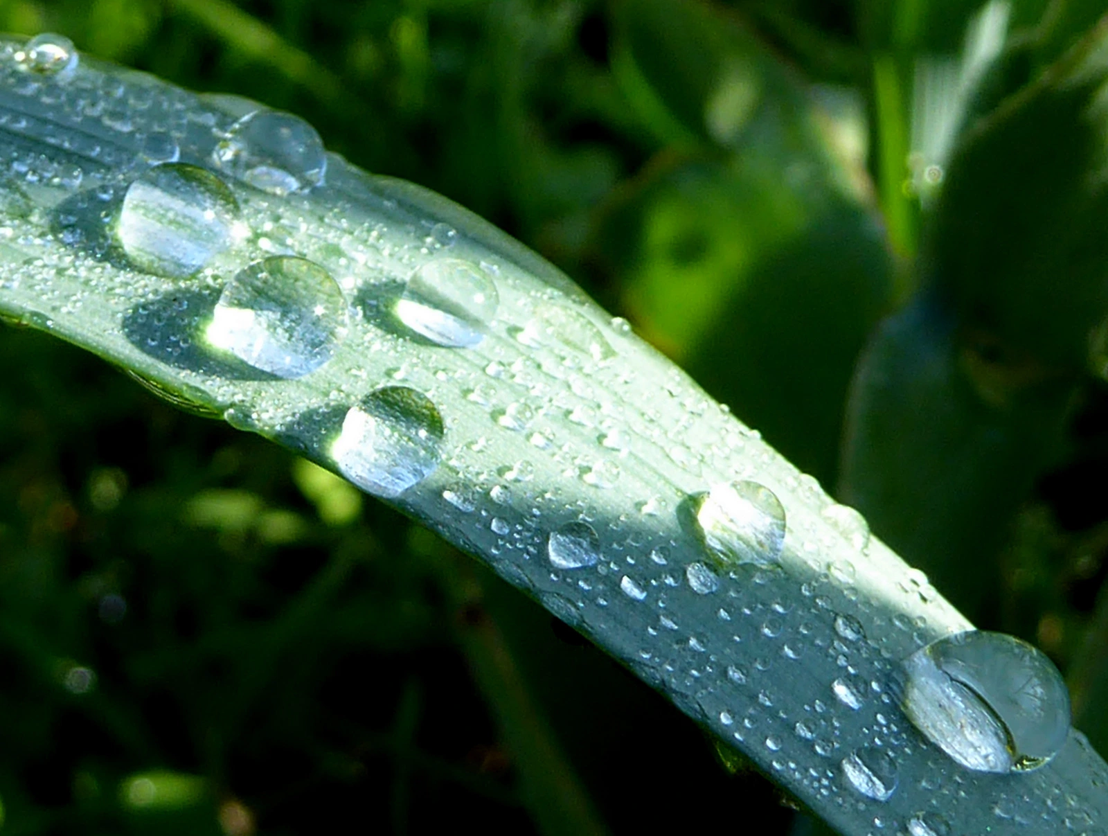 024.webp