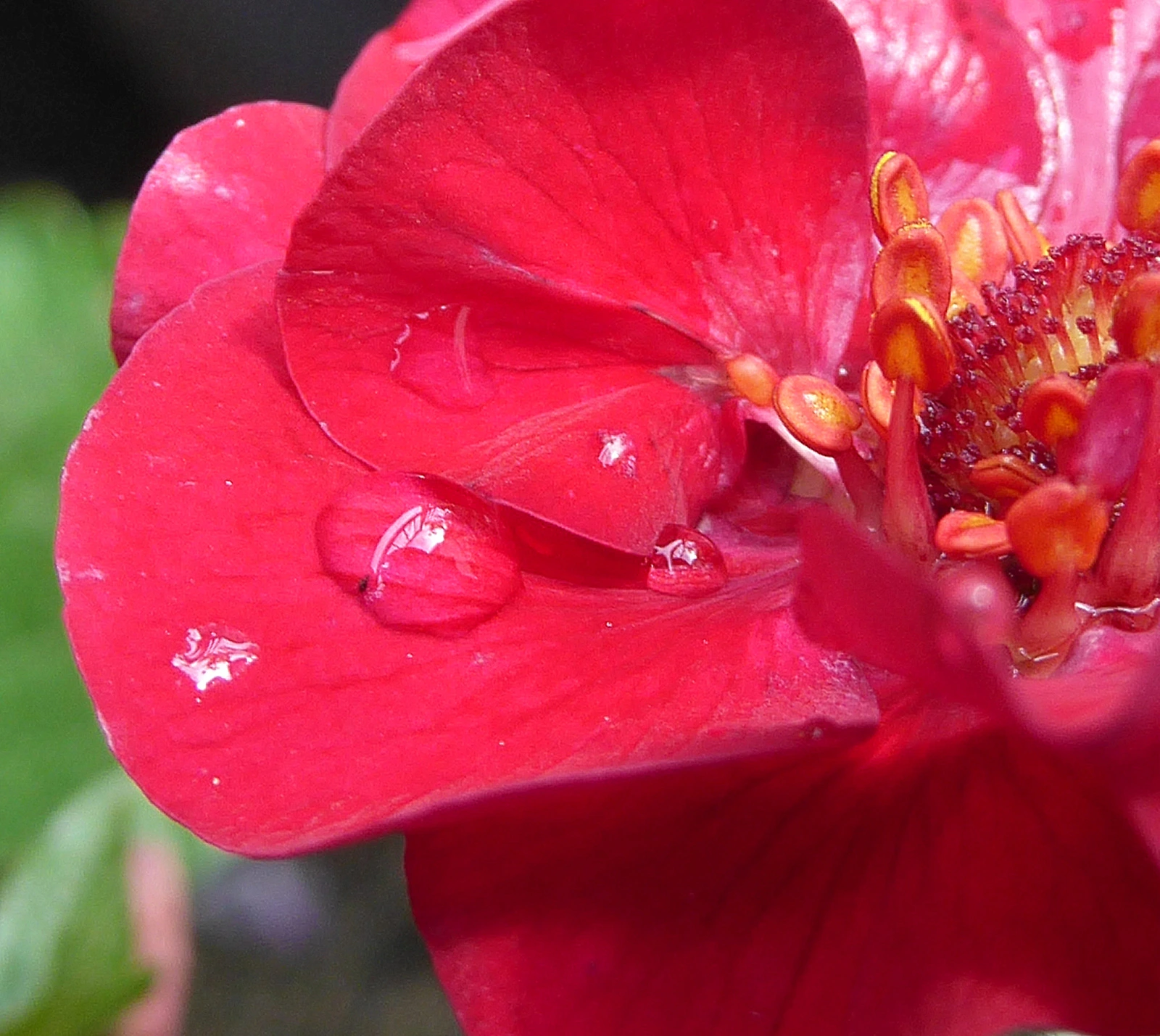 027.webp