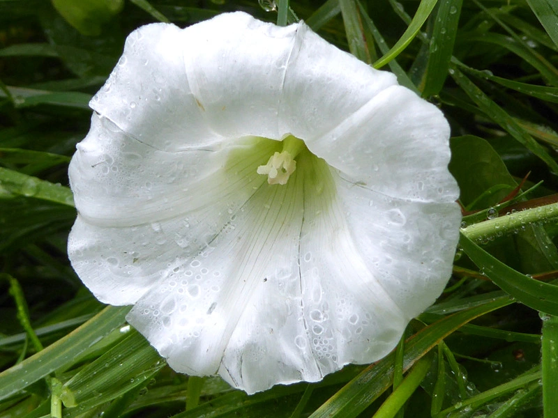 028.webp