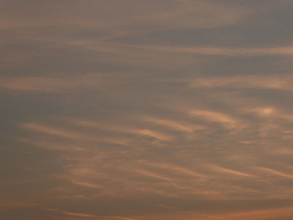 032.webp