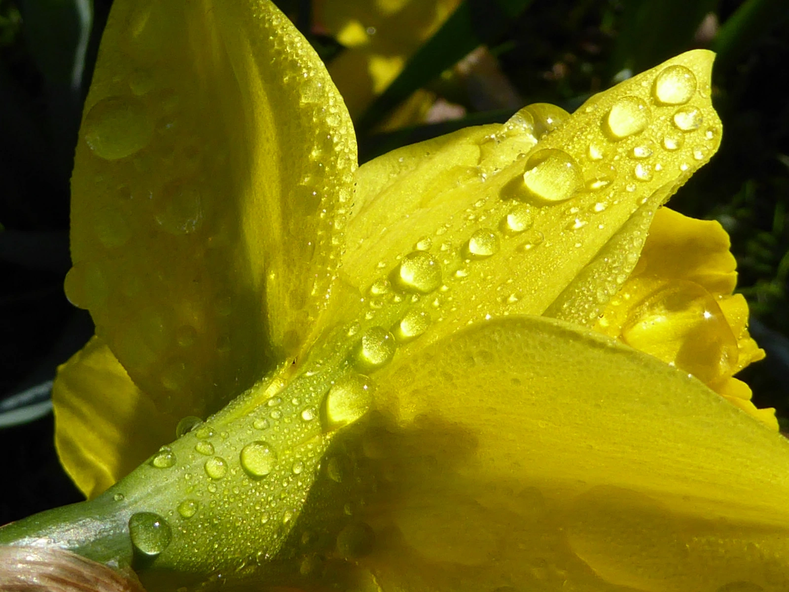 033.webp