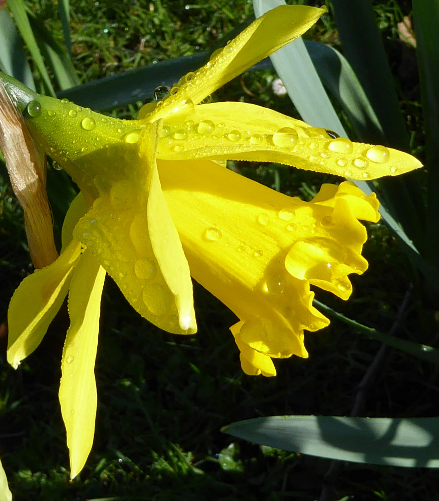 036.webp