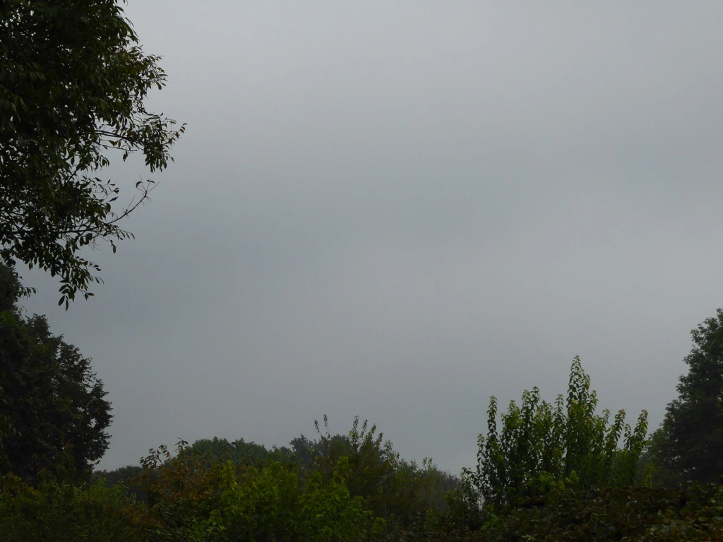 040.webp