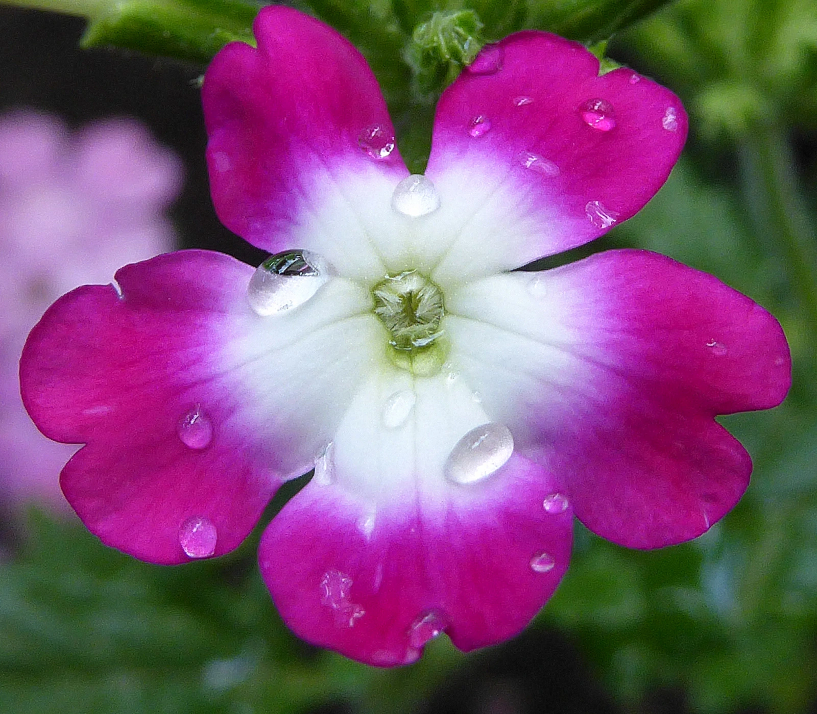 044.webp