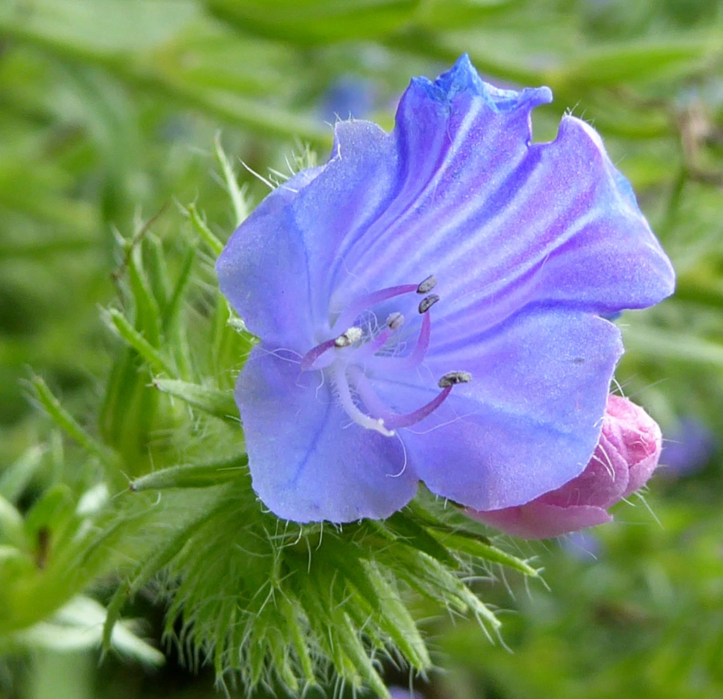 057.webp