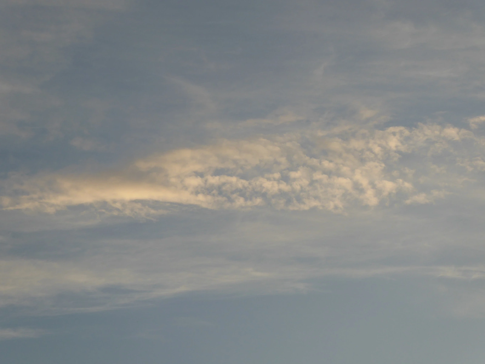 065.webp