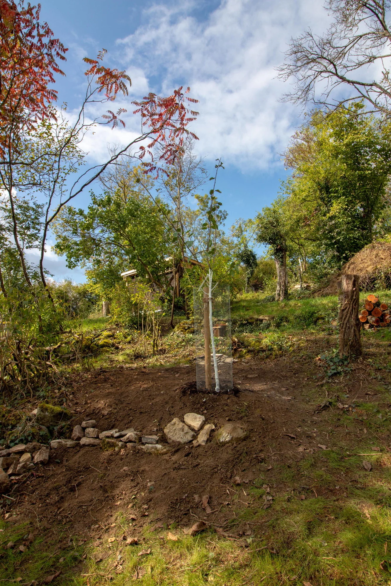 07 Okt 2021_1155.webp