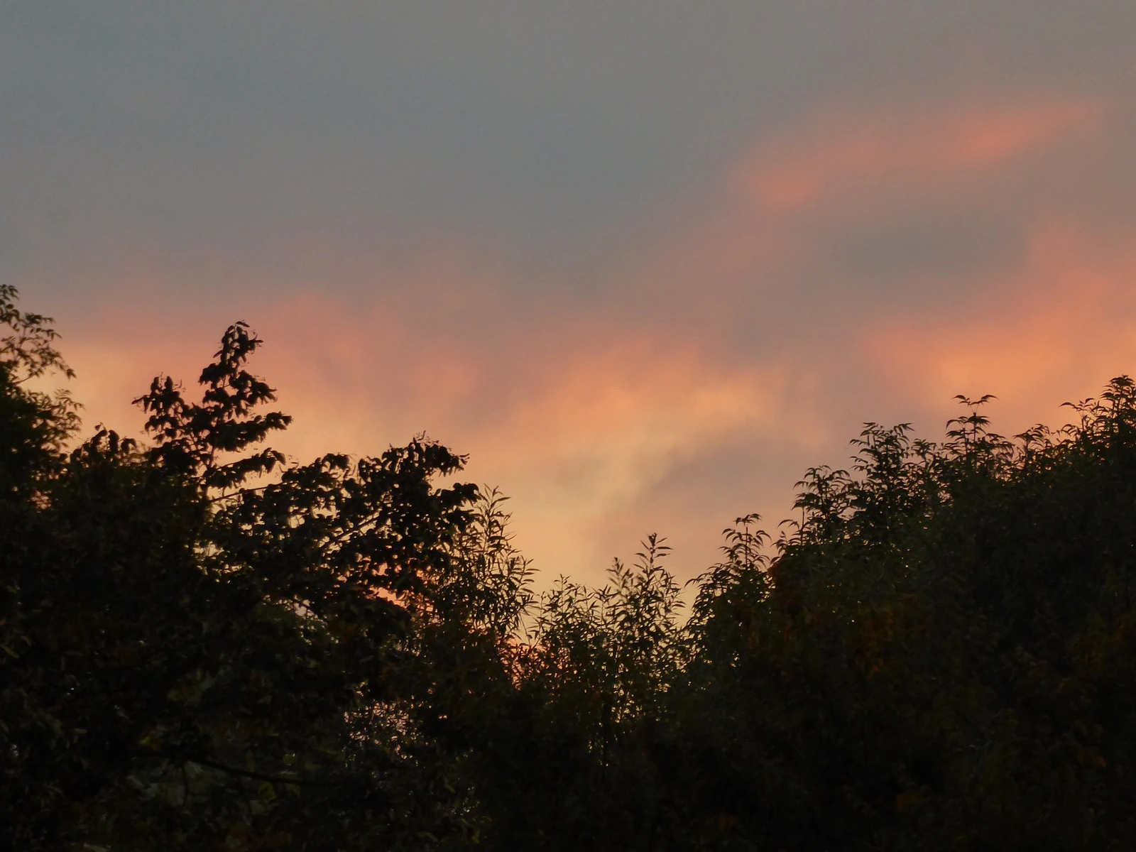 070.webp