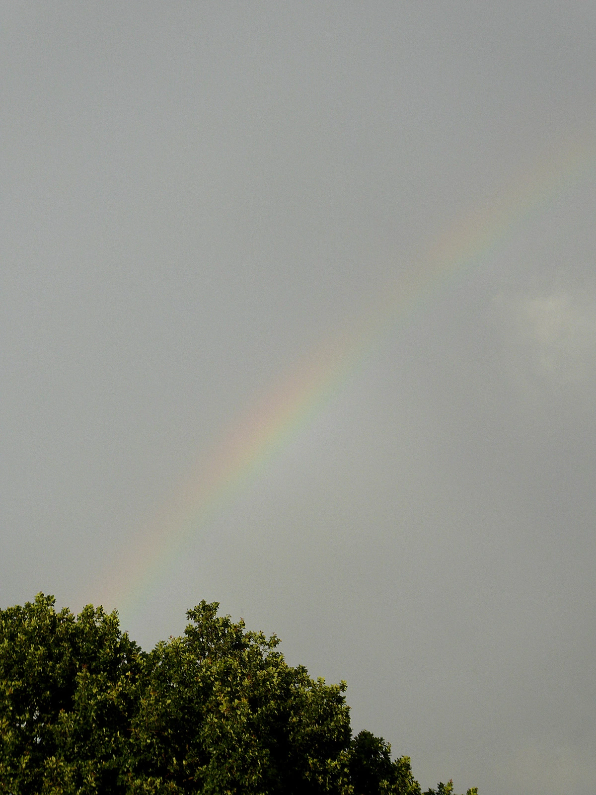 073.webp