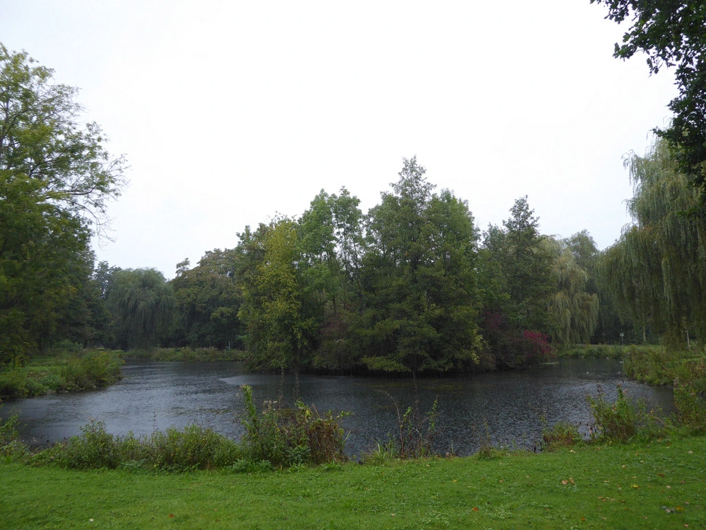 074.webp