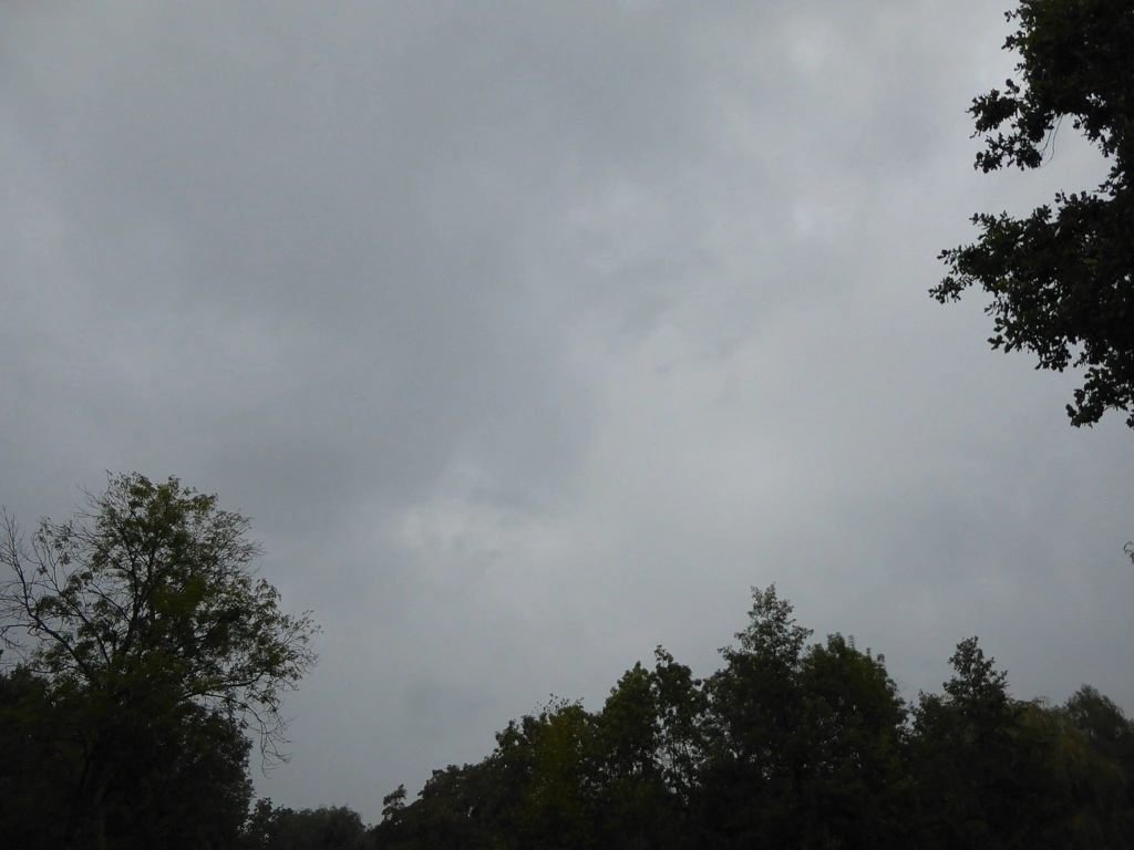 075.webp