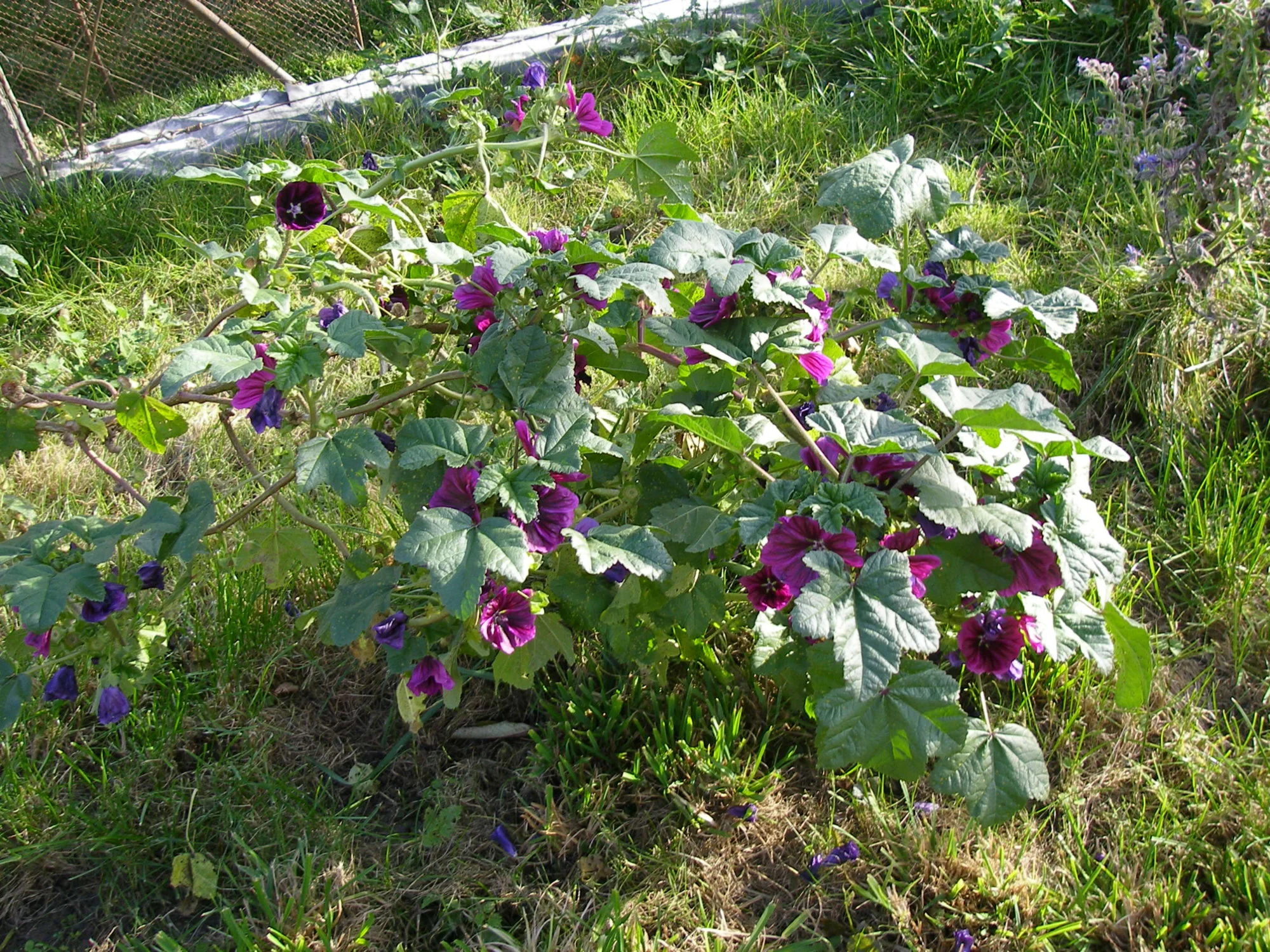 07_11_2018 (24).webp