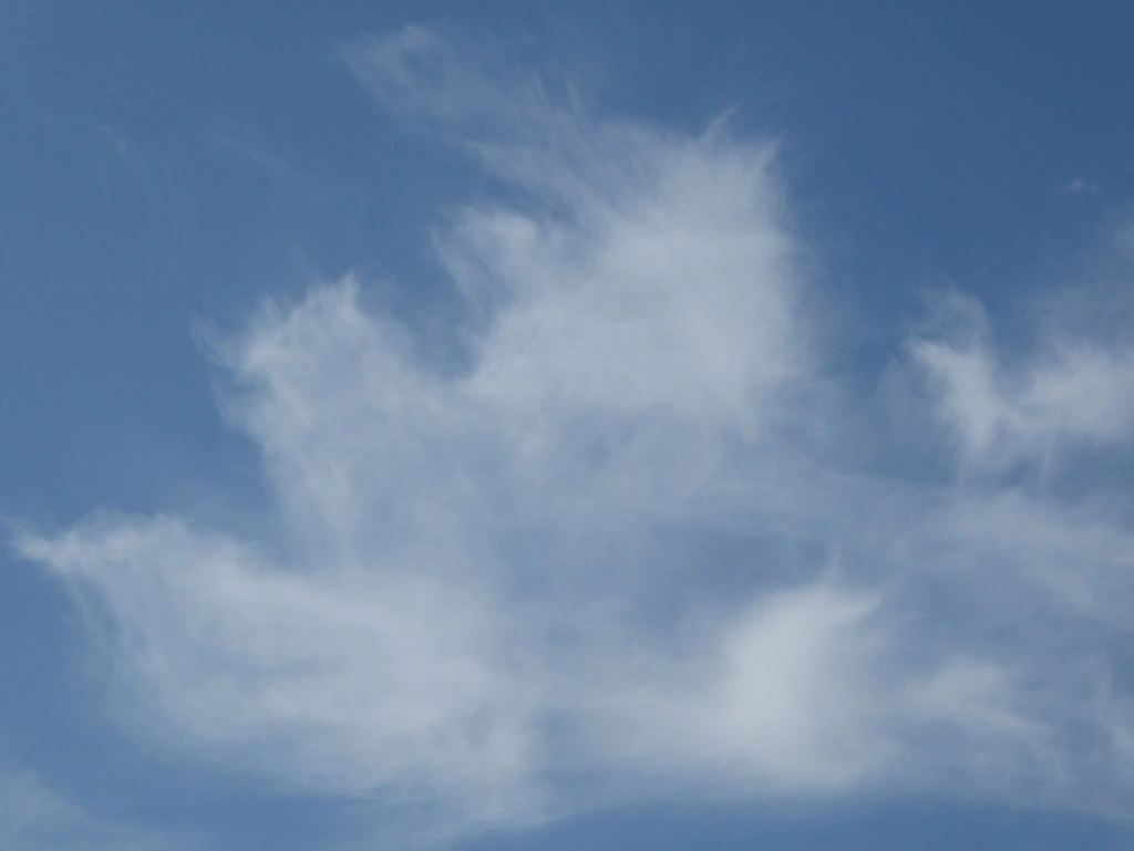 093.webp