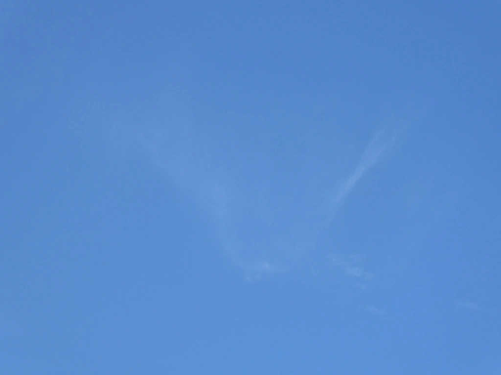 094.webp