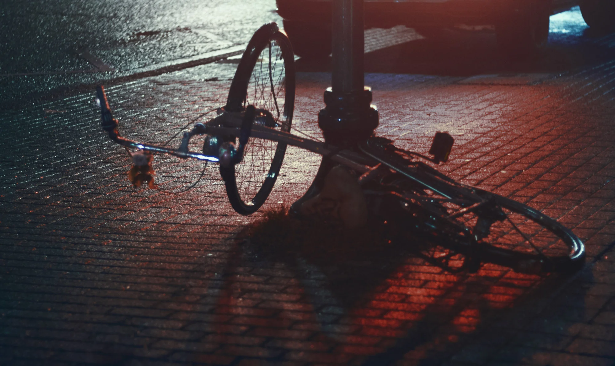 0M3A3863_1.webp