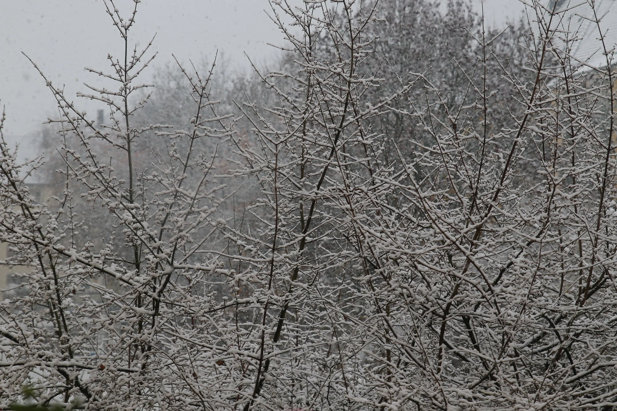 0M3A4193[1].webp