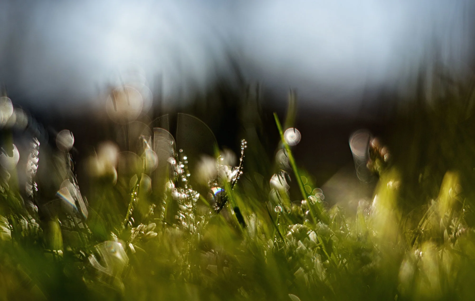 0M3A5703.webp