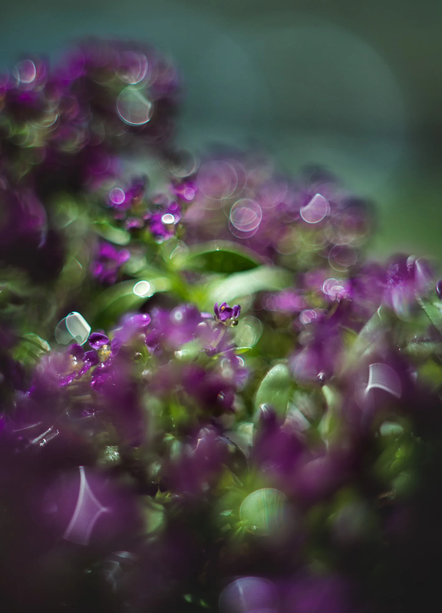 0M3A8624.webp
