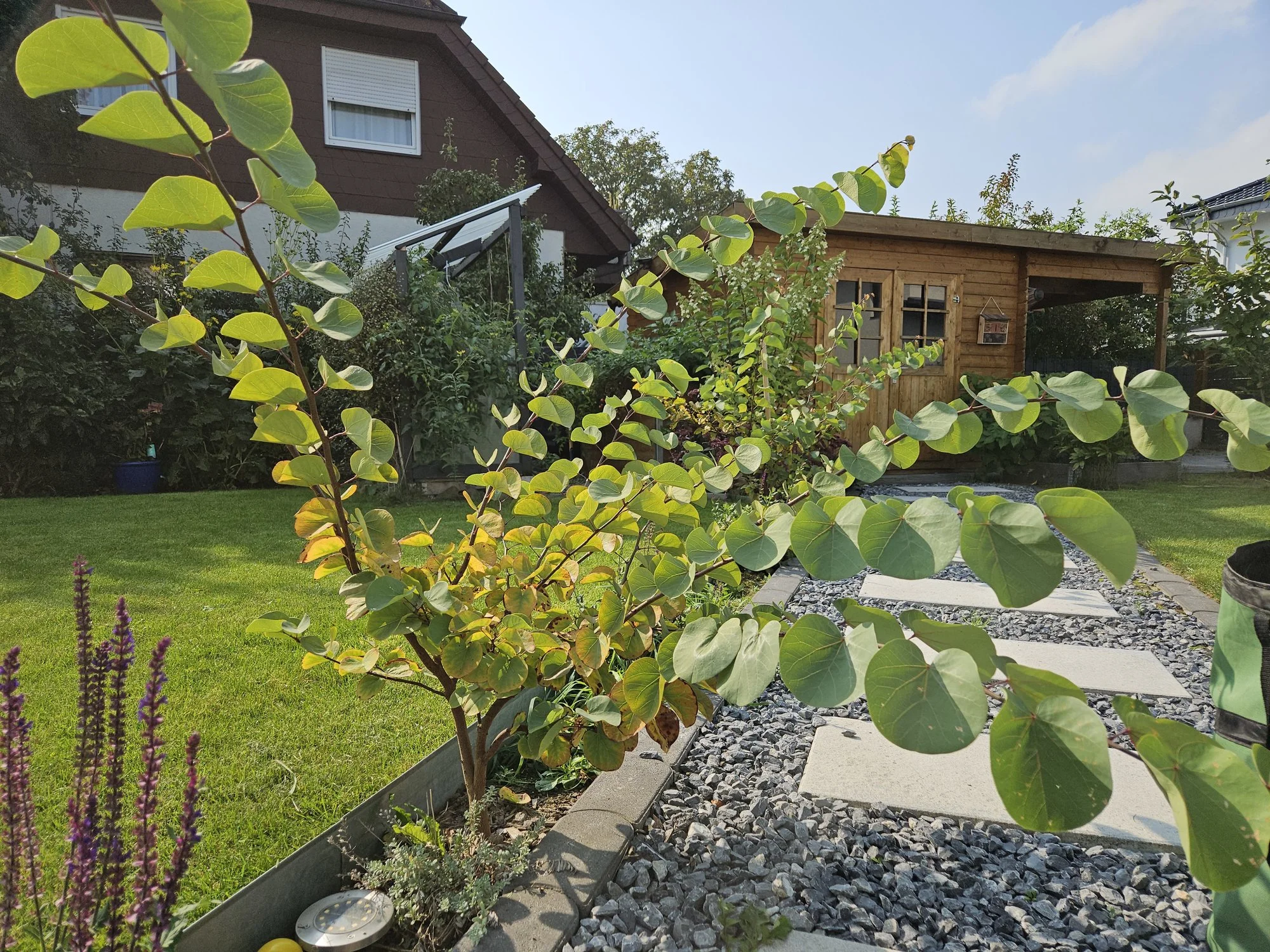 forum.hausgarten.net