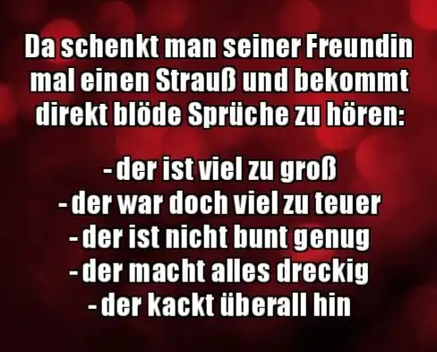 1000022179.webp