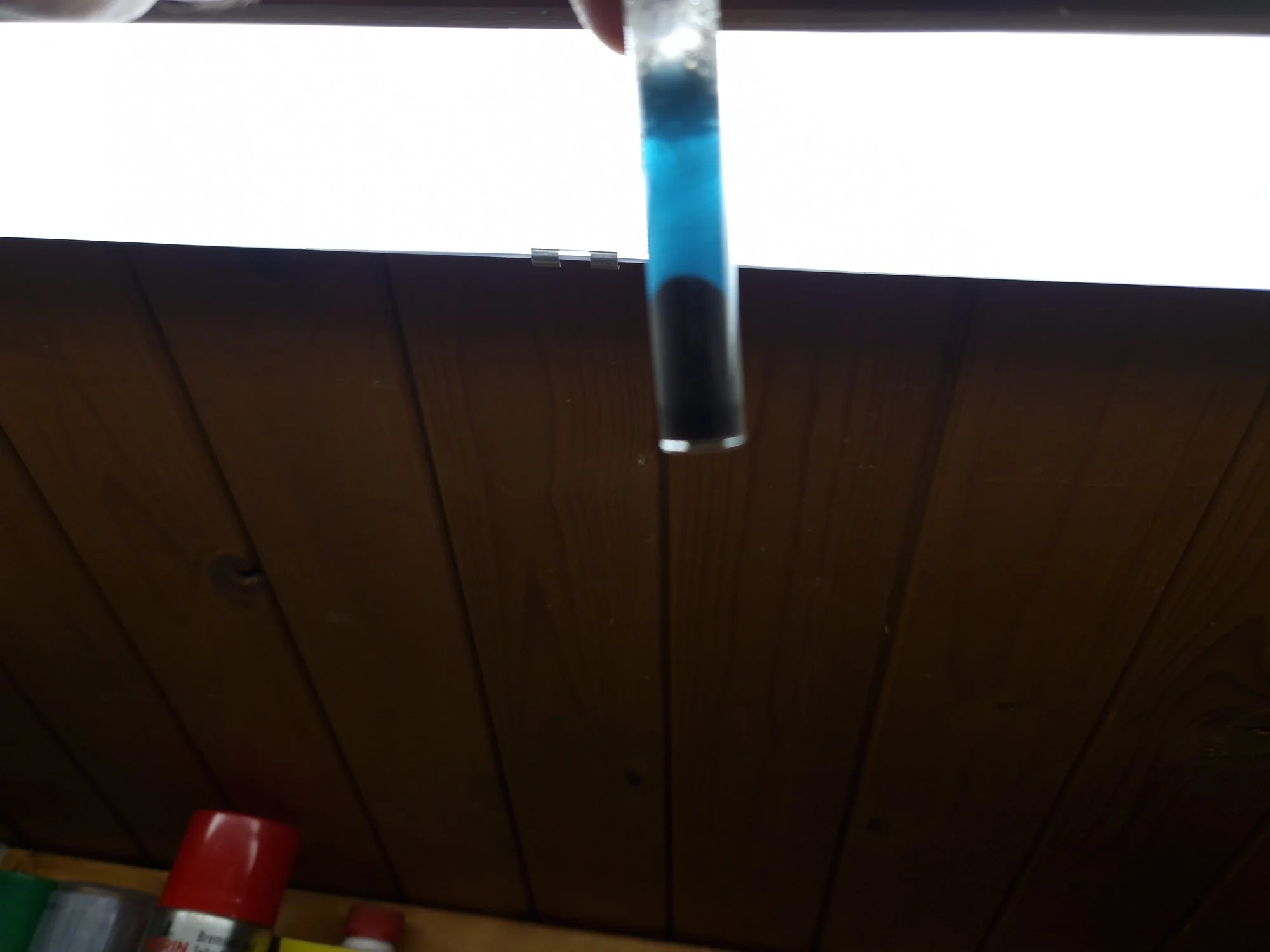 1000022771.webp