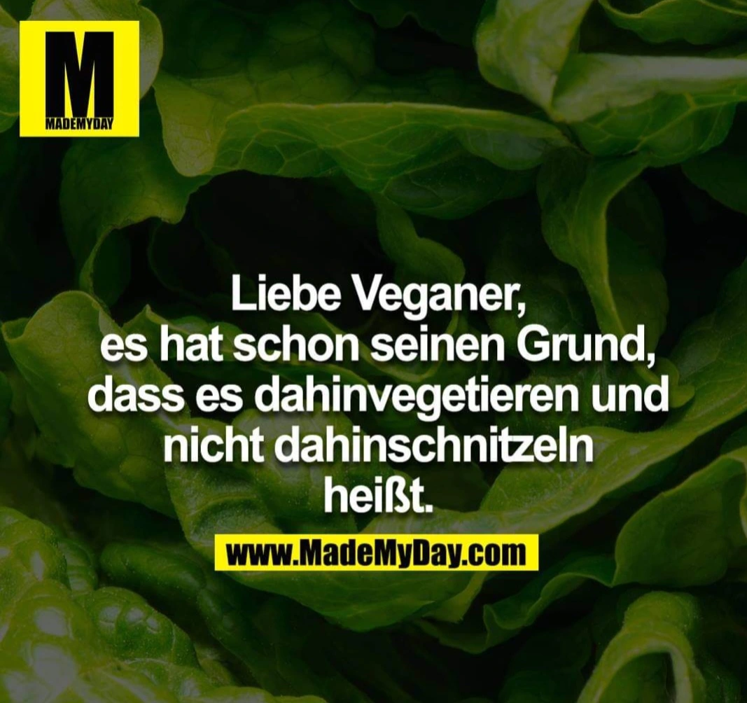 1000041379.webp