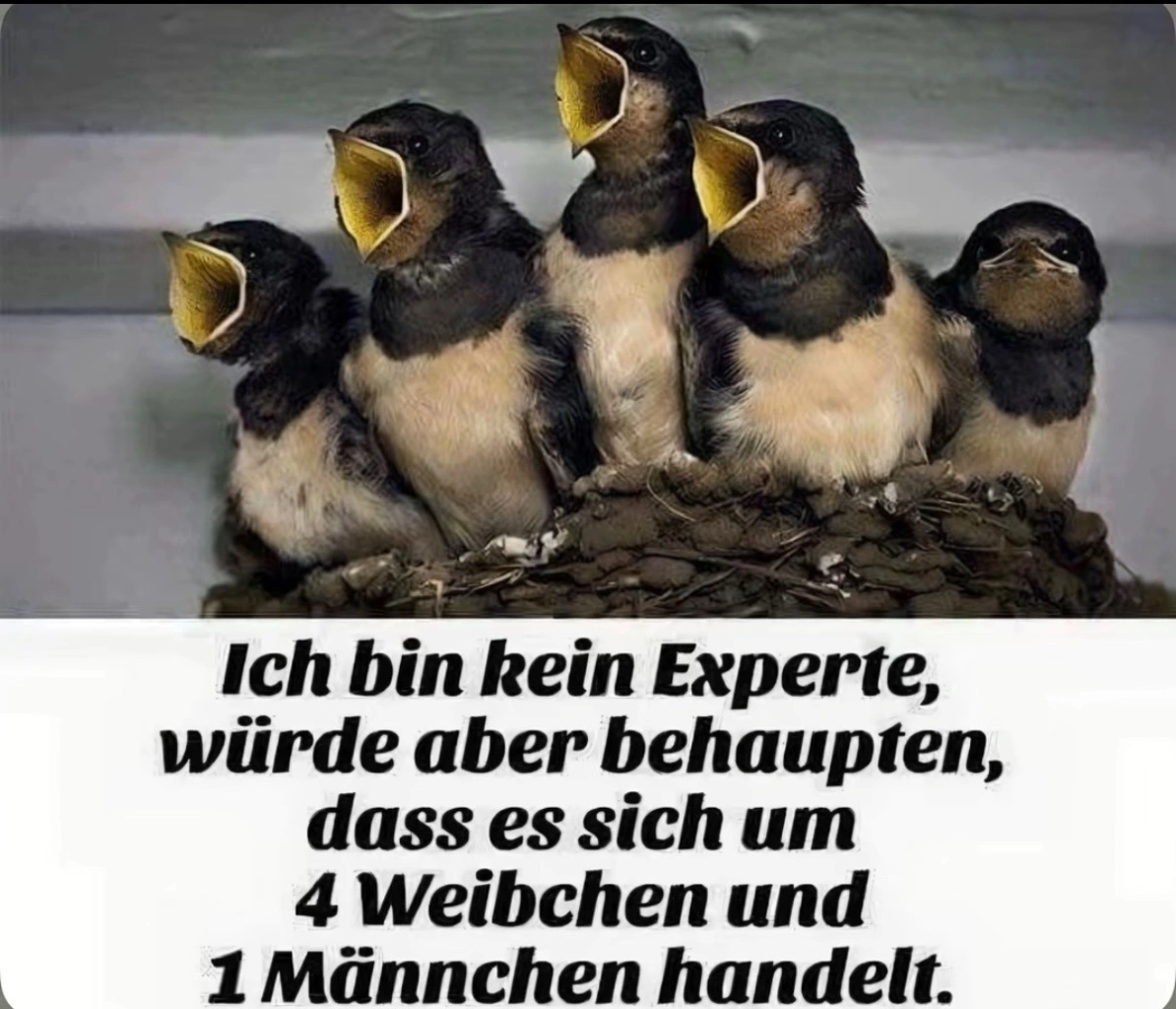1000043586.webp