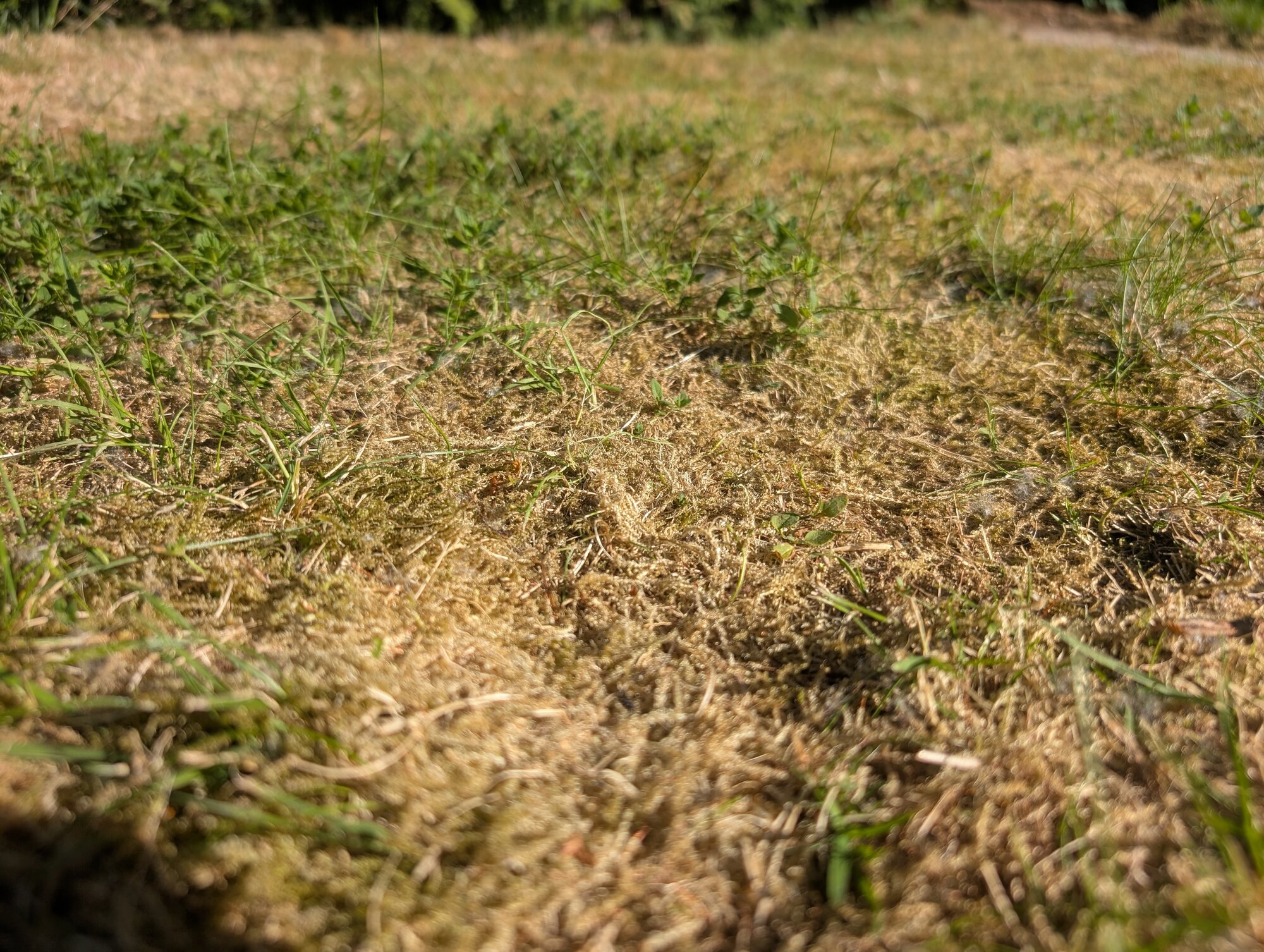 1000059274.jpg