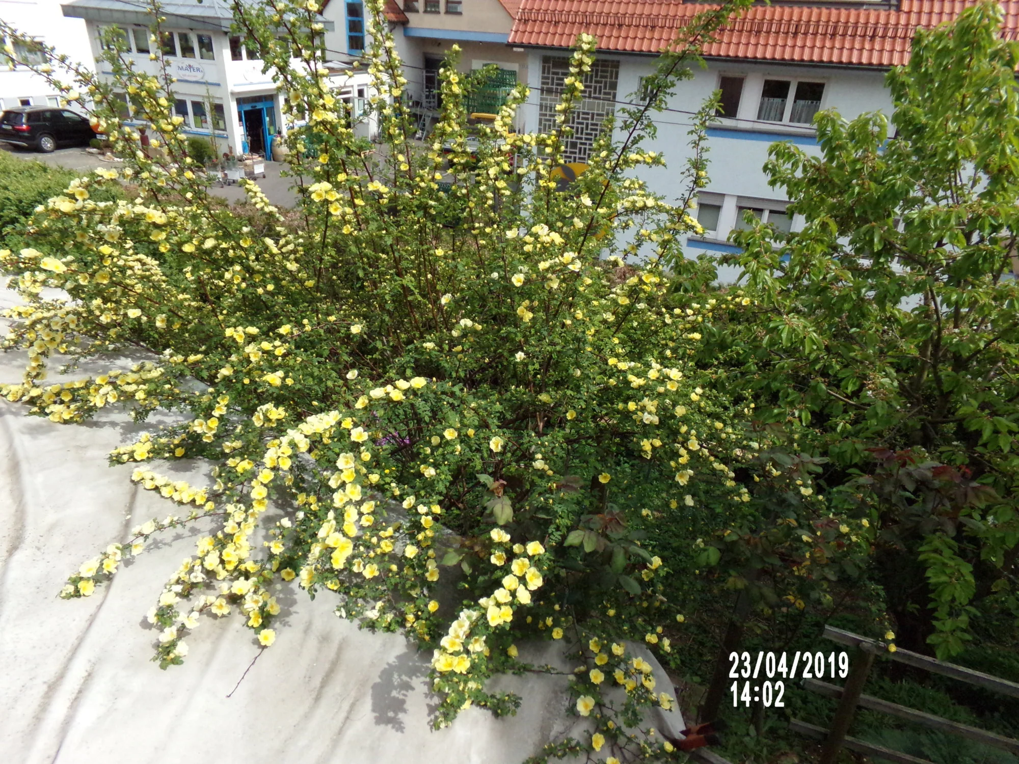 100_0472.webp