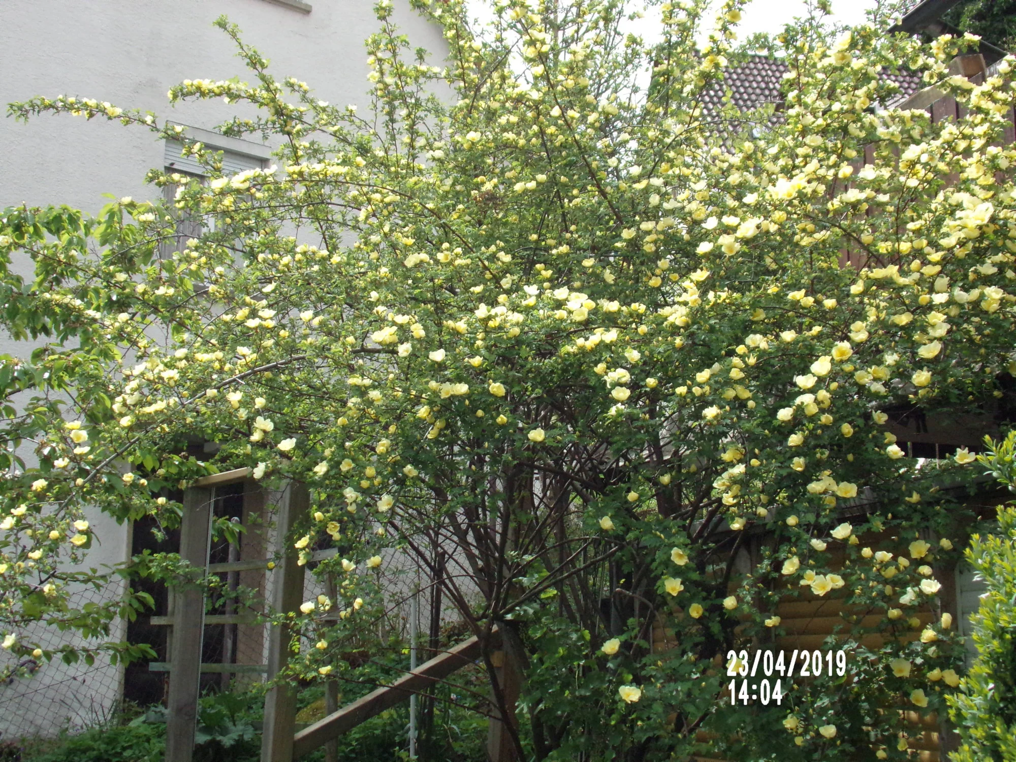 100_0477.webp