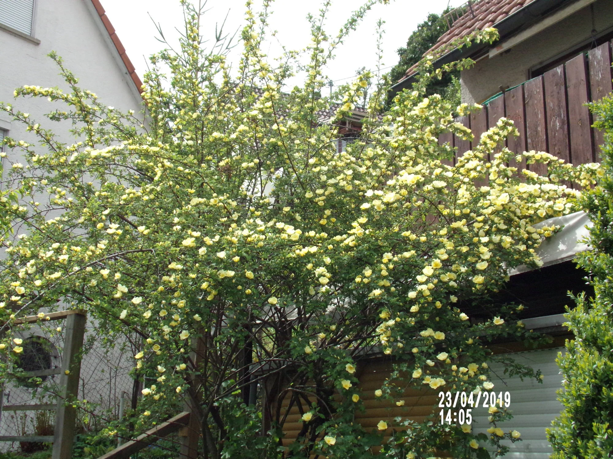 100_0478.webp