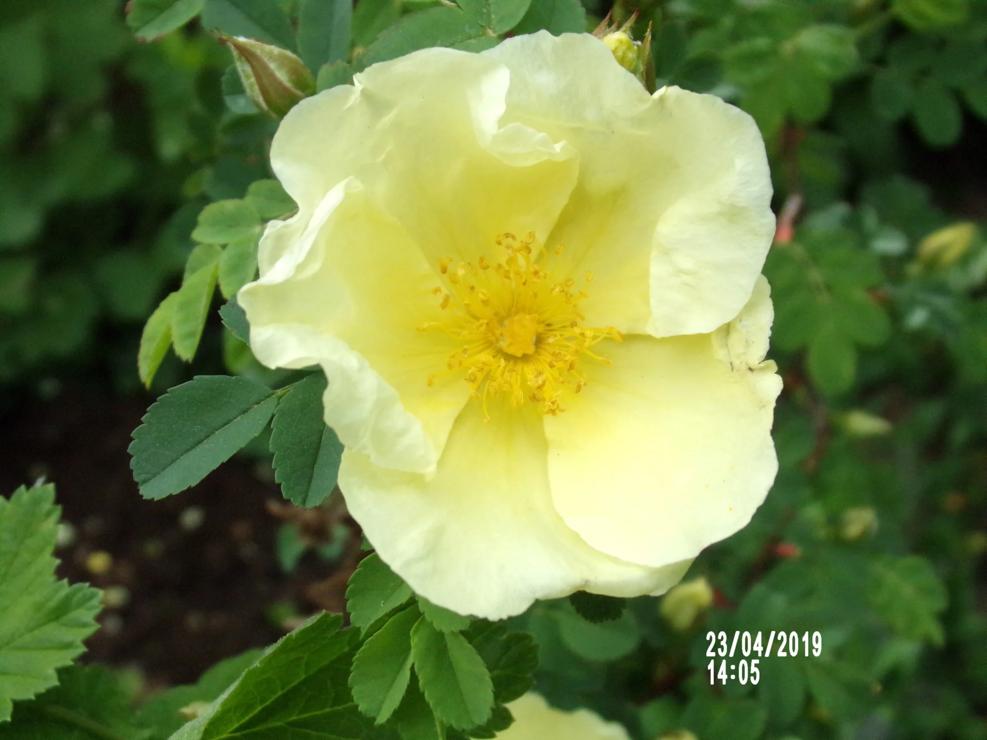 100_0480.webp